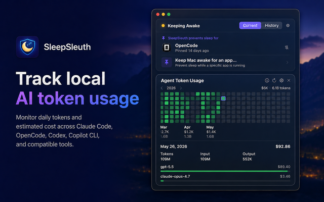 SleepSleuth agent token usage dashboard with daily usage and cost estimates